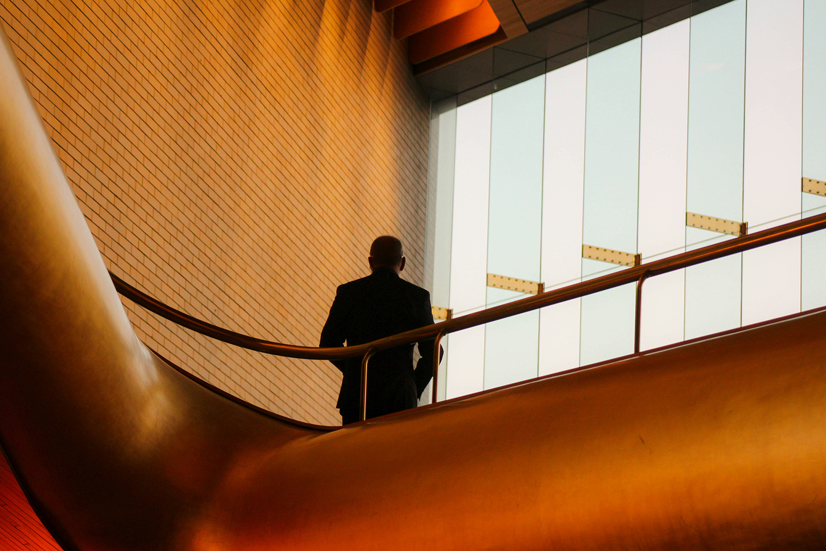Business professional in un ambiente moderno